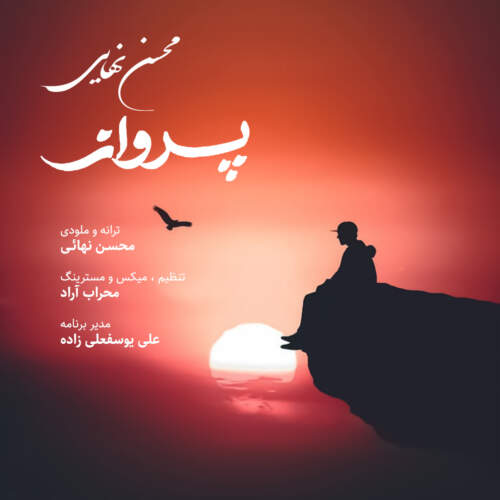 محسن نهایی پرواز