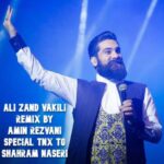 دانلود و متن آهنگ جدید علی زندوکیلی ریمیکس شاد (از امین رضوانی)