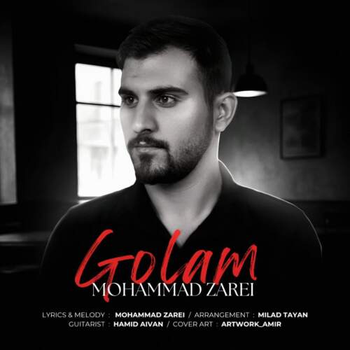 محمد زارعی گلم