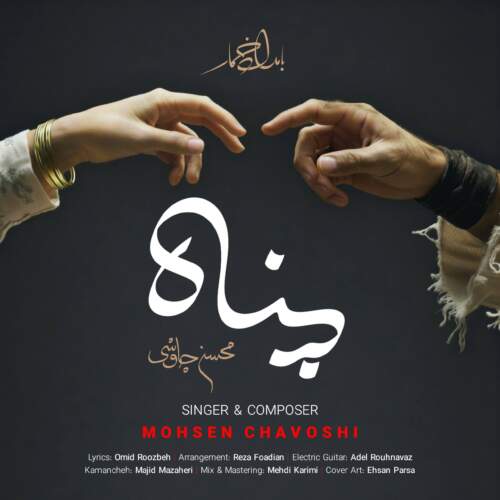 محسن چاوشی پناه