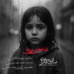دانلود و متن آهنگ جدید صادق فرامرزی شانه های بی پناه دانلود و متن آهنگ جدید صادق فرامرزی شانه های بی پناه