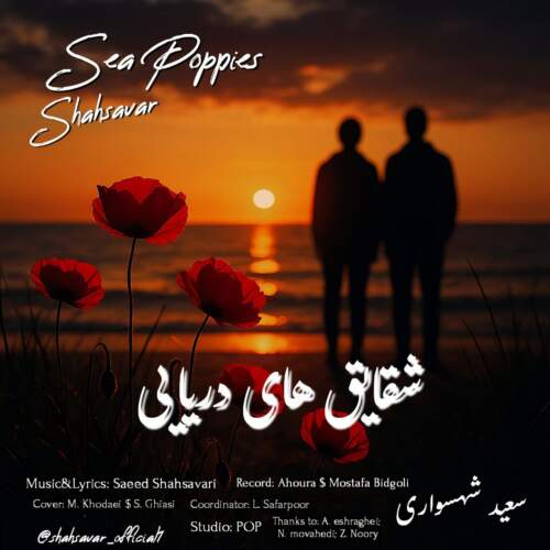 سعید شهسواری (شهسوار) شقایق های دریایی