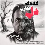 دانلود و متن آهنگ جدید علی فرخی کلاغا که دل ندارن