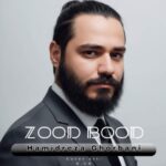 دانلود و متن آهنگ جدید حمیدرضا قربانی زود بود