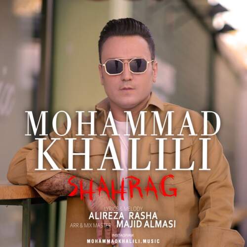 محمد خلیلی شاهرگ